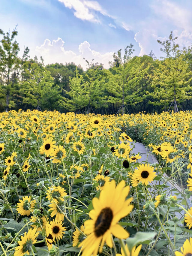 上海西岸自然藝術公園｜藝術與自然的對話