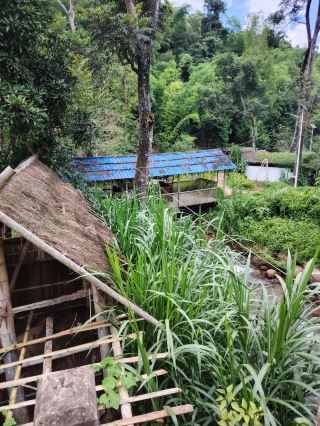 This trip to Cangyuan truly opened up a new world for me! This hidden gem on the Yunnan border holds the most authentic Wa ethnic customs. Follow my route, 