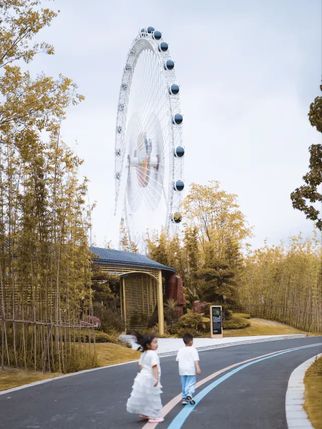 This autumn in Chengdu is so comfortable that I don't want to leave