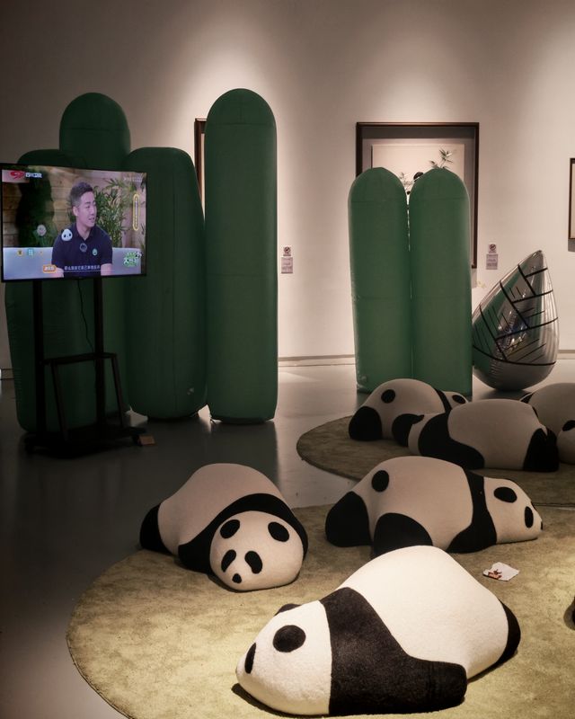 長沙新展誰能拒絕可可愛愛大熊貓 長沙新展誰能拒絕可可愛愛大熊貓