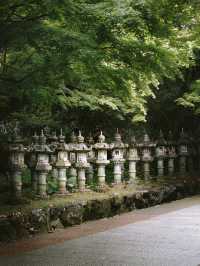 A hidden serene heaven moments from Osaka
