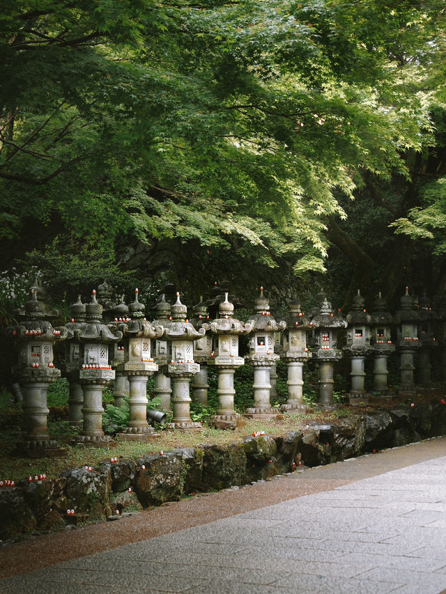 A hidden serene heaven moments from Osaka