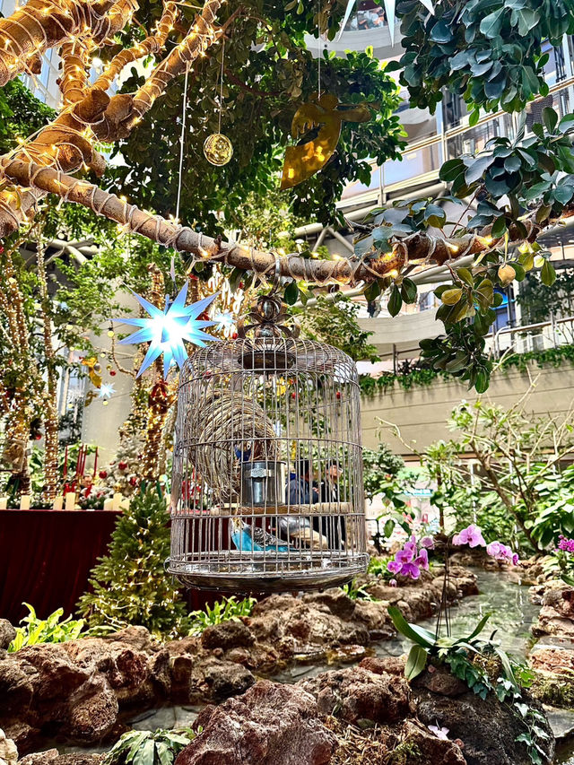 重慶光環購物公園:山城「城市自然共同體」新名片 重慶光環購物公園:山城「城市自然共同體」新名片