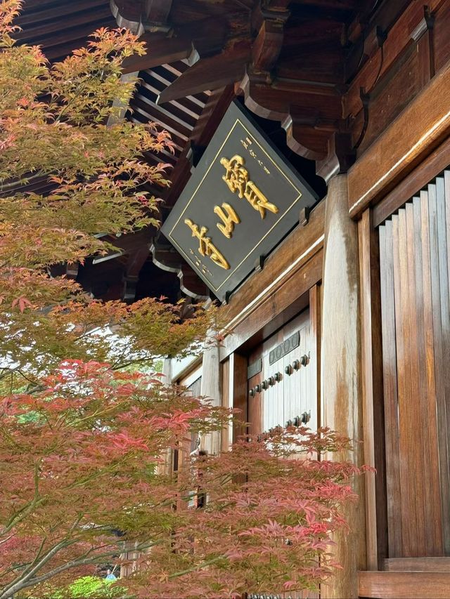 千年晚唐風！白玉蘭獎古剎藏魔都！寶山寺暴走指南