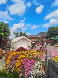 在麗江古城，把時光慢下來，泊心雲舍·文苑便是那處讓旅途變