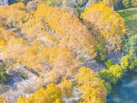 合肥逍遙津公園賞秋攻略不可錯過的寶藏地方