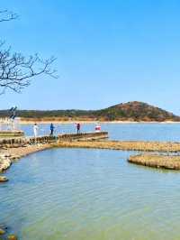 太湖追鷗奇遇記！60元船票解鎖「海陸空」三重浪漫！