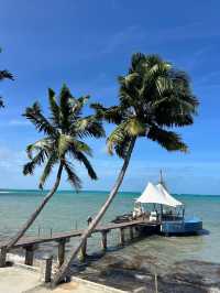 Honeymoon Reflections on Coco de Mer