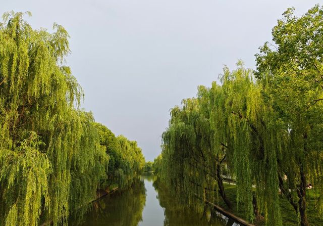 來浙江「度假古鎮」吧，煙火氣與老字號齊全