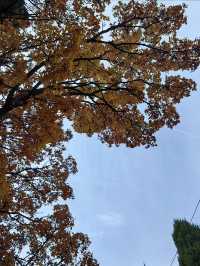探秘濟南小眾山體公園