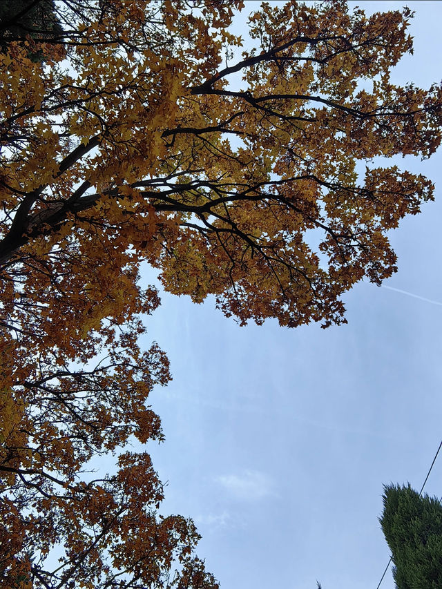 探秘濟南小眾山體公園