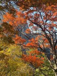 秋日封神華山北峰懶人玩法索道直達絕美景點