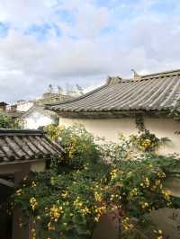 鬧中取靜 治癒系小院
