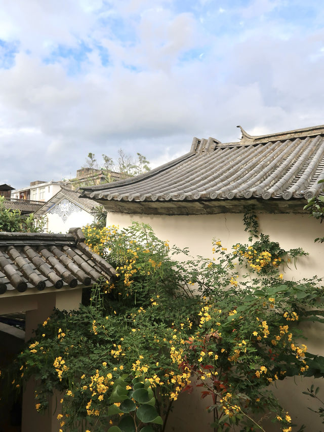鬧中取靜 治癒系小院