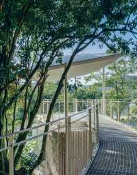 秘境林間咖啡驛站 風袂驛