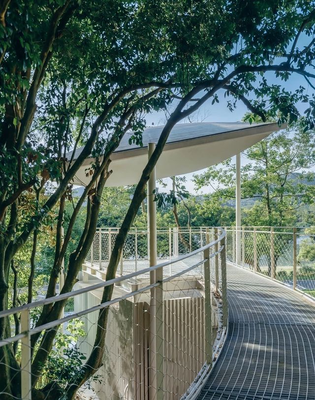 秘境林間咖啡驛站 風袂驛