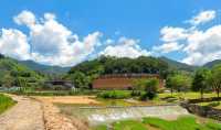 廈門周邊1h直達！藏在土樓旁的「漫畫稻田」，治癒所有疲憊