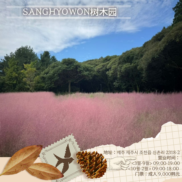 濟州的秋天,藏在風裡,也在路上 濟州的秋天,藏在風裡,也在路上