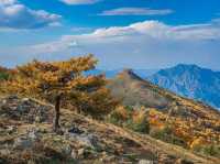 金秋京畿自駕遊|登頂靈山,邂逅北京屋脊的絕美秋色