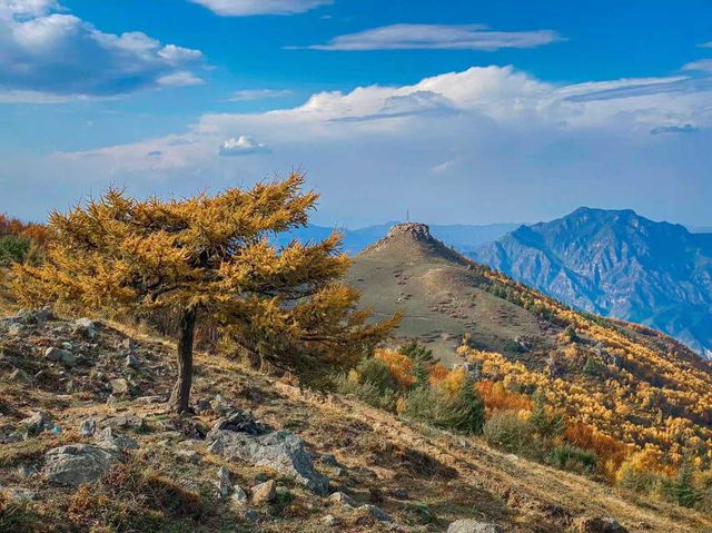 金秋京畿自駕遊|登頂靈山,邂逅北京屋脊的絕美秋色 金秋京畿自駕遊|登頂靈山,邂逅北京屋脊的絕美秋色