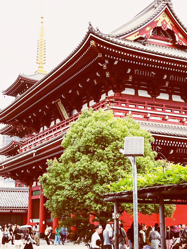🏮 Sensō-ji's Crimson Lantern: A Gateway to Old Tokyo's Soul! 🎎 🏮 Sensō-ji's Crimson Lantern: A Gateway to Old Tokyo's Soul! 🎎