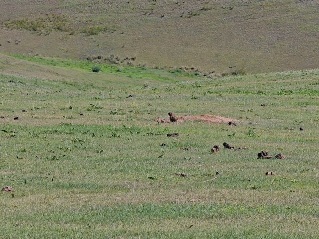 天山深處的綠寶石:烏魯木齊南山牧場一日漫記 天山深處的綠寶石:烏魯木齊南山牧場一日漫記