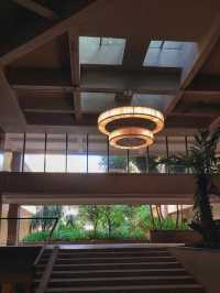 帶毛孩子泡私湯!這家溫泉酒店太可了