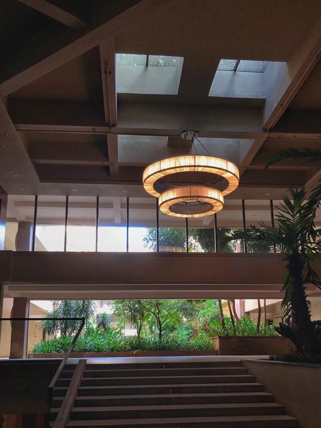 帶毛孩子泡私湯!這家溫泉酒店太可了 帶毛孩子泡私湯!這家溫泉酒店太可了