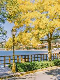 青島秋冬:闖進漫畫裡的治癒幀