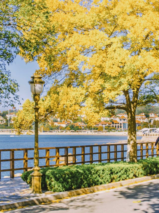 青島秋冬:闖進漫畫裡的治癒幀 青島秋冬:闖進漫畫裡的治癒幀