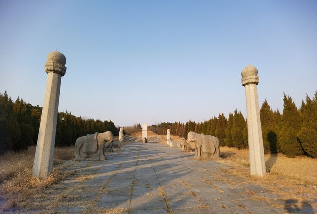 化明塘嚴氏墓丨封藏了600年的淒美愛情故事 化明塘嚴氏墓丨封藏了600年的淒美愛情故事