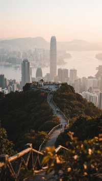 11月港澳遊，四天三晚打卡雙城！