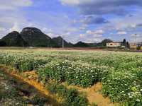 昆明民宿必住Top1