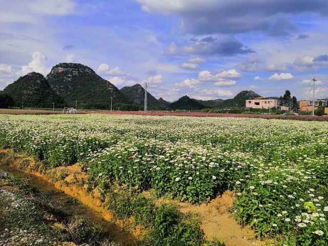 昆明民宿必住Top1 昆明民宿必住Top1