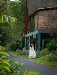 秋日讀書!在竹棲谷享受「沉浸式閱讀」