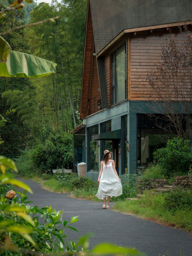 秋日讀書!在竹棲谷享受「沉浸式閱讀」 秋日讀書!在竹棲谷享受「沉浸式閱讀」