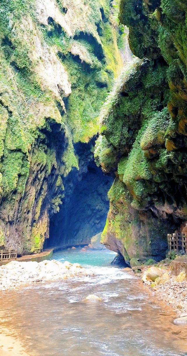 《喀斯特秘境：與遠古精靈的對話》