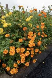 離天空很近的世外桃源小村莊