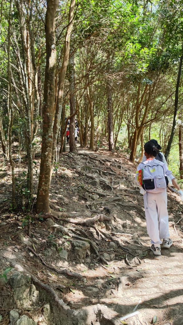廣東版武功山|惠州大南山徒步攻略
