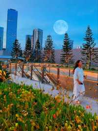 Tripcom Design Gem💎