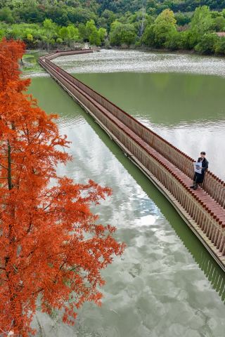 연운항 가을 봉신 수상 레드 시더 비경은 유화 감성 촬영 가능