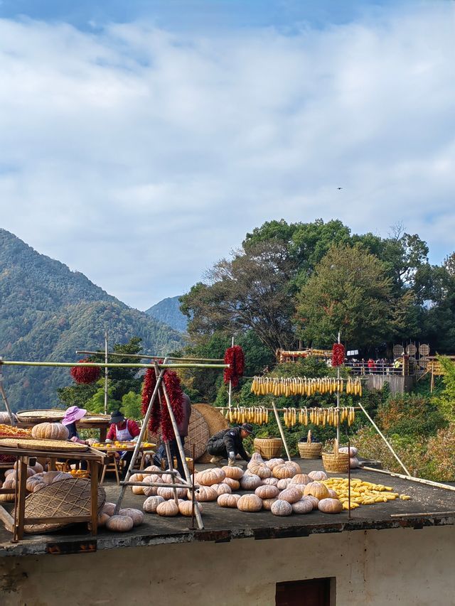 醉美篁嶺曬秋攻略