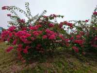 郴州東江湖白廊景區的美景