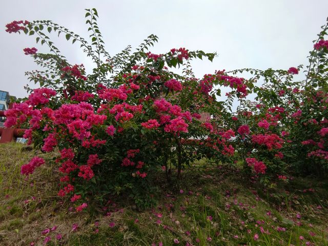 郴州東江湖白廊景區的美景