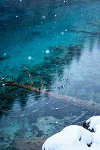 【九寨溝冬日仙境】 靜謐雪國，治癒系旅行天花板！