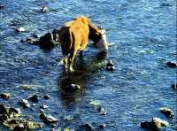 被（國家地理）評為中國5A最美秋色的阿爾山太美了