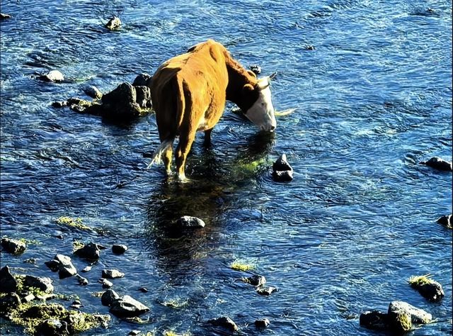 被（國家地理）評為中國5A最美秋色的阿爾山太美了