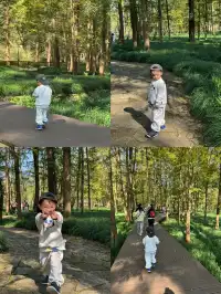 室外遛娃｜諸暨五泄 闖入秋葉世界