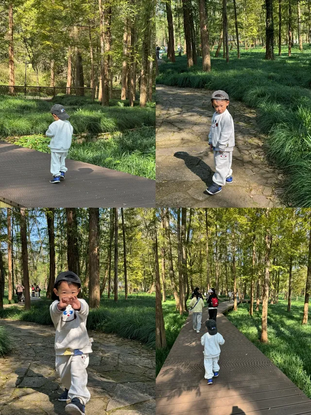 室外遛娃｜諸暨五泄 闖入秋葉世界