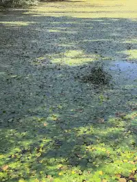 11月的西昌|環海騎行電動車解鎖隱藏觀景點